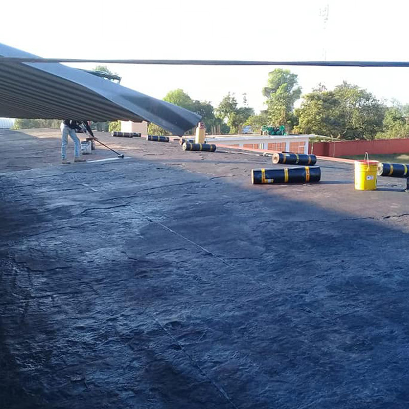 Pinturas, Impermeabilizante y Acabados Monterrey